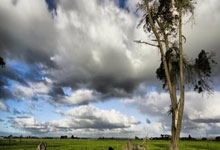 窝沟黑线天涯论坛，藏着一个特别天真的网络群组 哦