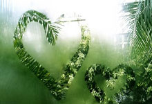 老公出轨，在天涯论坛上炸开了锅。这事儿闹得，简直是人间惨剧！